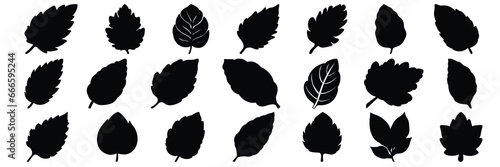 Leaf silhouettes set, large pack of vector silhouette design, isolated white background