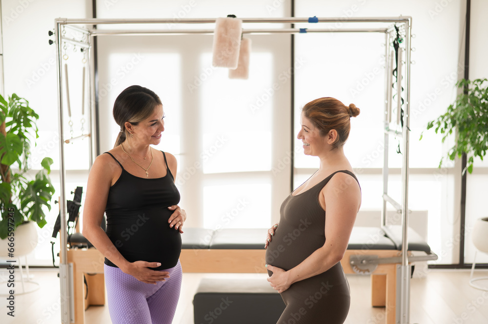 Two pregnant women communicate in a fitness club. Pilates for expectant mothers. Two pregnant women communicate in a fitness club. Pilates for expectant mothers.