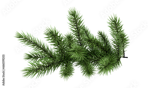 Christmas tree branch isolated on white
