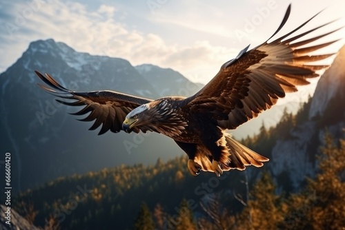 american bald eagle in flight above beautiful landscape, ai tools generated image © whitehoune