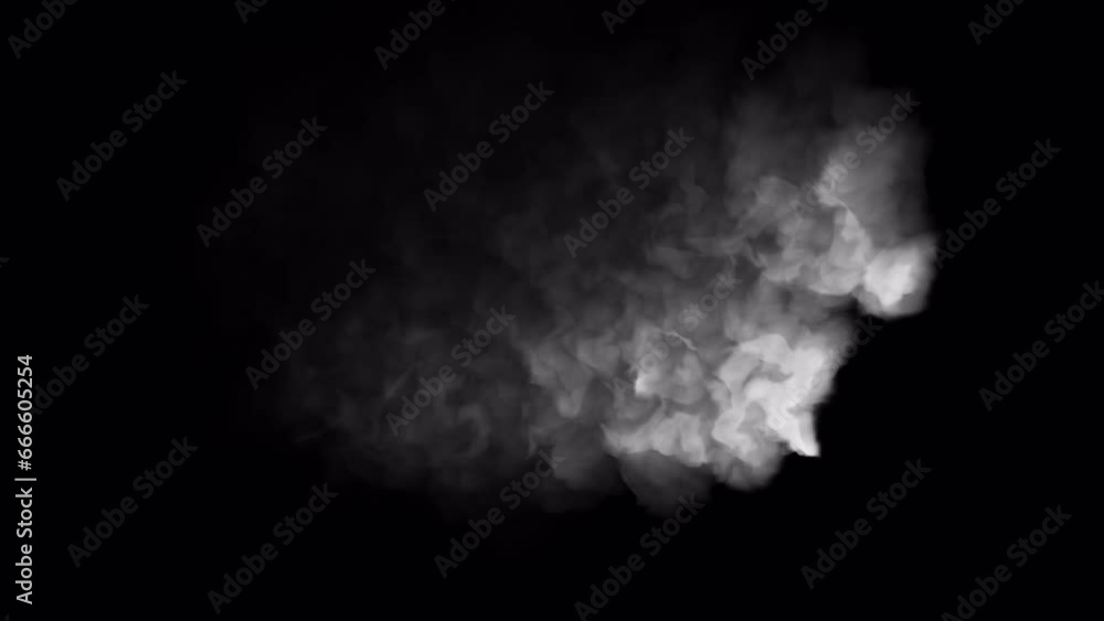 Business offer advertisement template. Video text transition animation. Special offer appears and vanish with smoke effect on transparent background with alpha channel. Design element for banner, ad. Business offer advertisement template. Video text transition animation. Special offer appears and vanish with smoke effect on transparent background with alpha channel. Design element for banner, ad.
