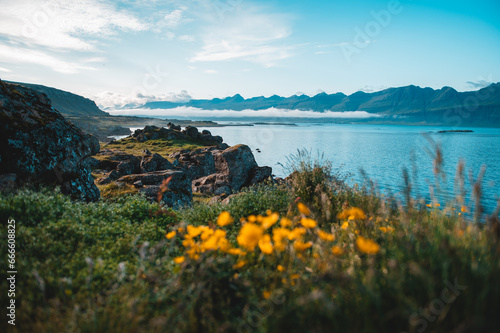 Fjord de Berufjörður, Islande photo