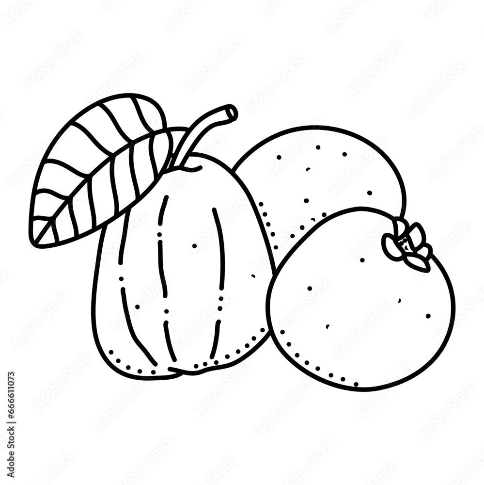 Linear Guava. Hand drawn Guava fruits isolated on white background. doodle style design for coloring book. Linear Guava. Hand drawn Guava fruits isolated on white background. doodle style design for coloring book.