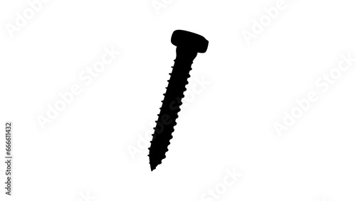 Lag Screw