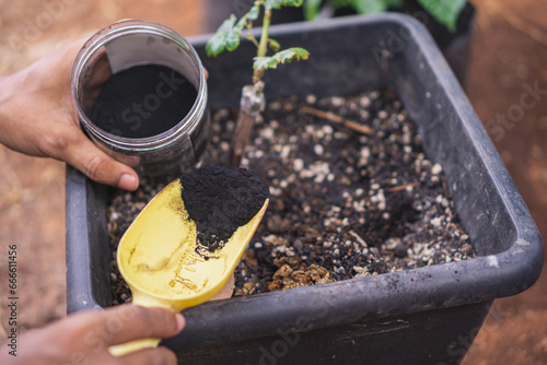 Canvastavla using humic acid for plant as organic fertilizer, rich in humic and fulvic acid,