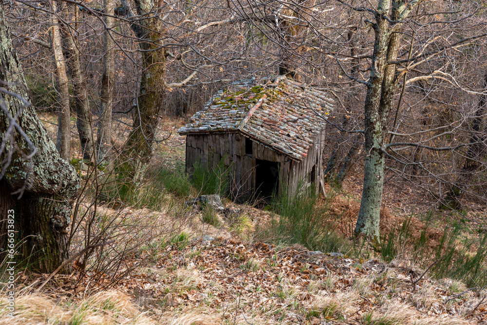 old abandoned house in the woods old abandoned house in the woods