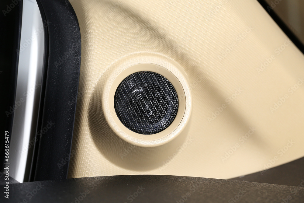  round speakers in a car.