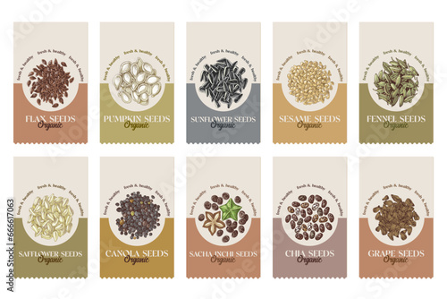 edible seeds hand drawn collection