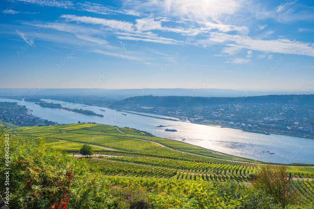 View from the vineyards above the Rhine near Rüdesheim/Germany down into the valley on a sunny autumn morning - obrazy, fototapety, plakaty 