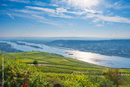 View from the vineyards above the Rhine near Rüdesheim/Germany down into the valley on a sunny autumn morning photo