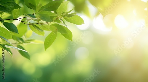Green leaves in a summer garden under sunlight create a natural background of plants for spring environment ecology or wallpapers