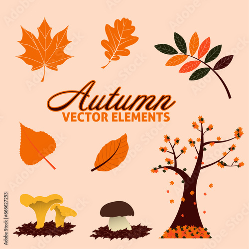 elements vector for autumn season