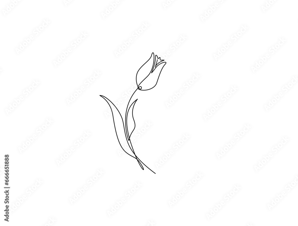 Continuous one line drawing of tulip flower. single line flower vector illustration. Continuous one line drawing of tulip flower. single line flower vector illustration.