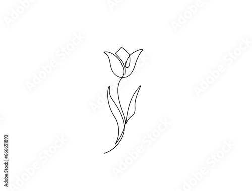 Continuous one line drawing of tulip flower. single line flower vector illustration.