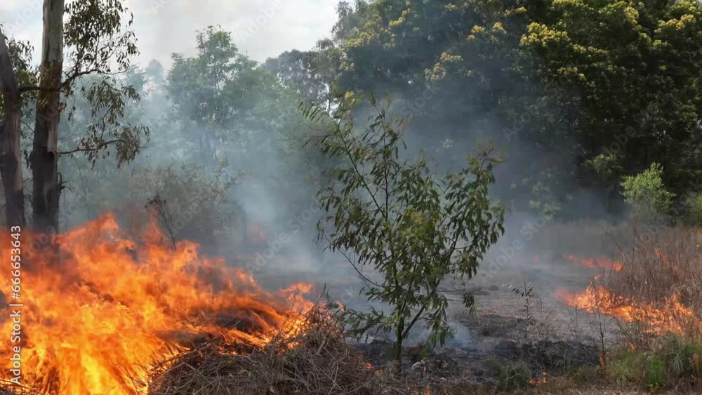 A stunning veld fire in a field in between a suburb and a railway. Showing the death and destruction of an uncontrolled fire. looks like a war scene showing the after effects.
