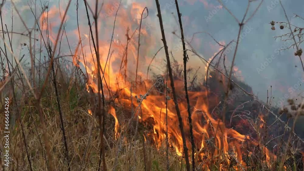 A stunning veld fire in a field in between a suburb and a railway. Showing the death and destruction of an uncontrolled fire. looks like a war scene showing the after effects.