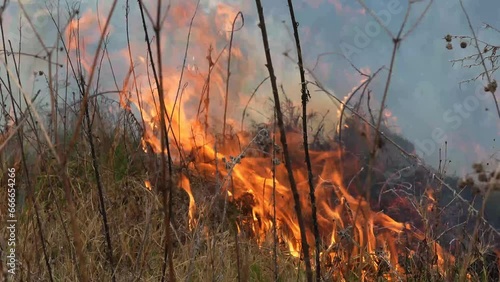 A stunning veld fire in a field in between a suburb and a railway. Showing the death and destruction of an uncontrolled fire. looks like a war scene showing the after effects.