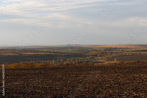 A large field with trees and land in the background