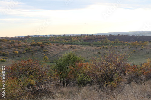 A landscape with trees and fields