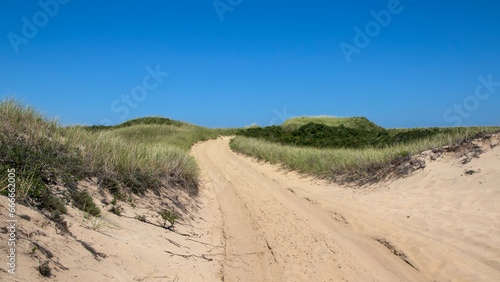beach dunes trail with bright blue sky