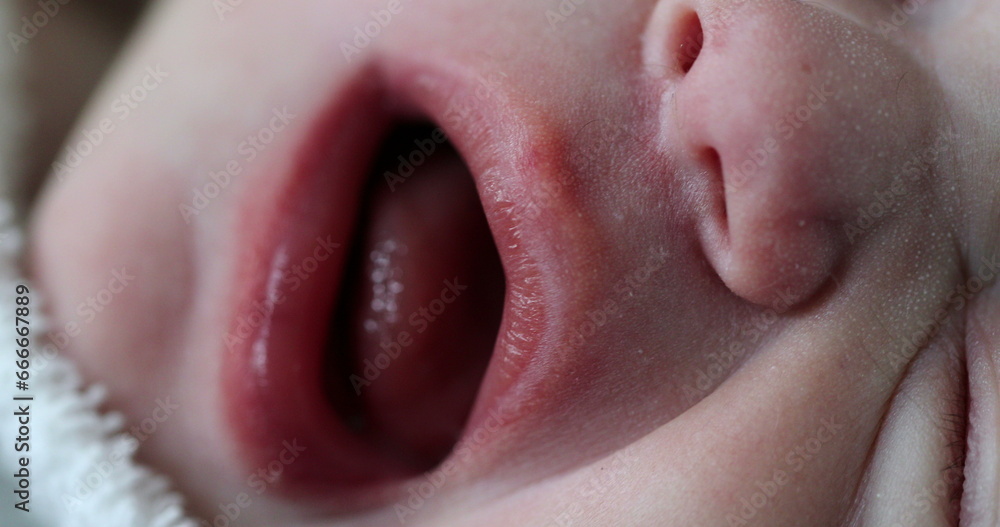 Fototapeta premium Macro close-up of newborn baby face