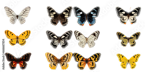 an assortment of exotic butterflies, top view as an isolated and transparent PNG in a Nature-themed, photorealistic illustration. Generative ai