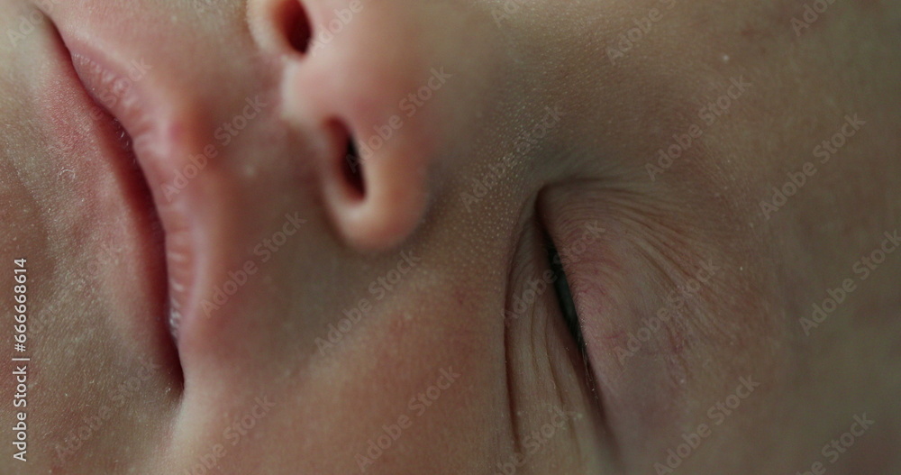Macro close-up of newborn infant face in first day of life