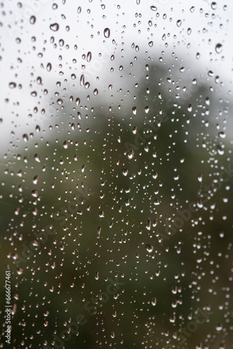 Water drops on the window glass with a tree behind.