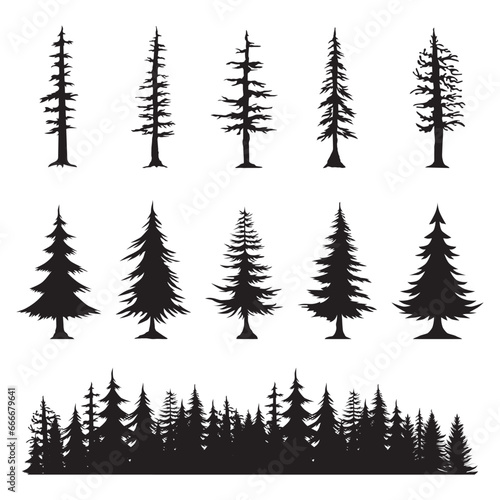 Collection of pine tree silhouettes. Vector illustration