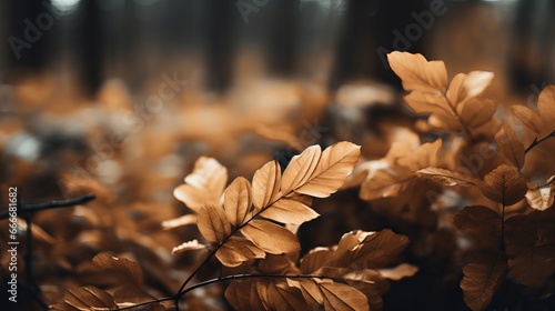 A brown background is contrasted with brown leaves of a plant during the autumn season.