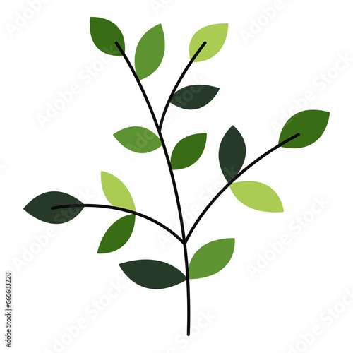 Flat Style Green leave Vector Illustration