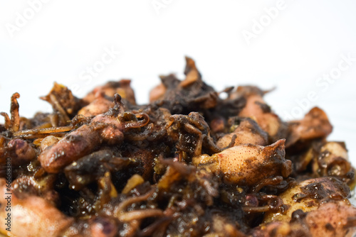 Close up Tumis Cumi, Oseng cumi or Stir Fried Squid placed on tranparent plate of glass isolated on white background. Indonesian food 