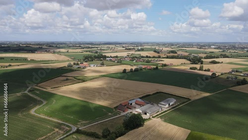 Des champs en Flandre