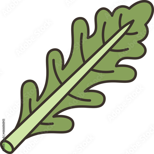arugula  icon