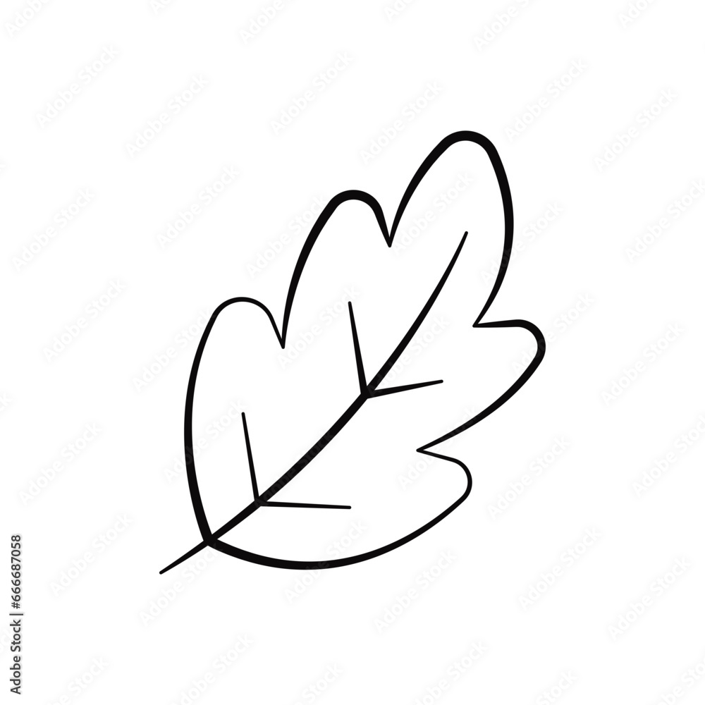 Hand drawn Leave Vector Illustration Hand drawn Leave Vector Illustration