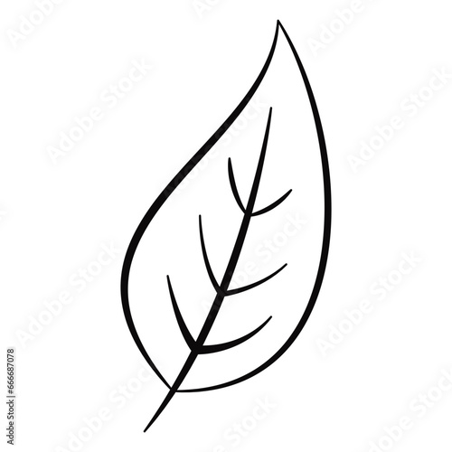 Hand drawn Leave Vector Illustration