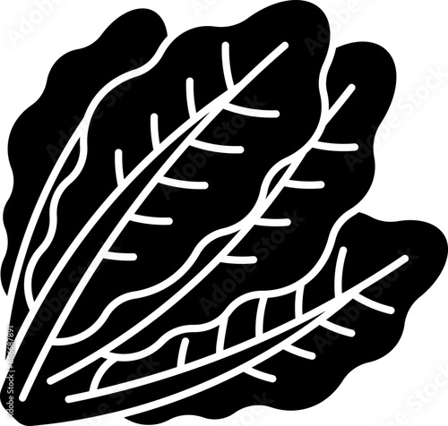 kale  icon