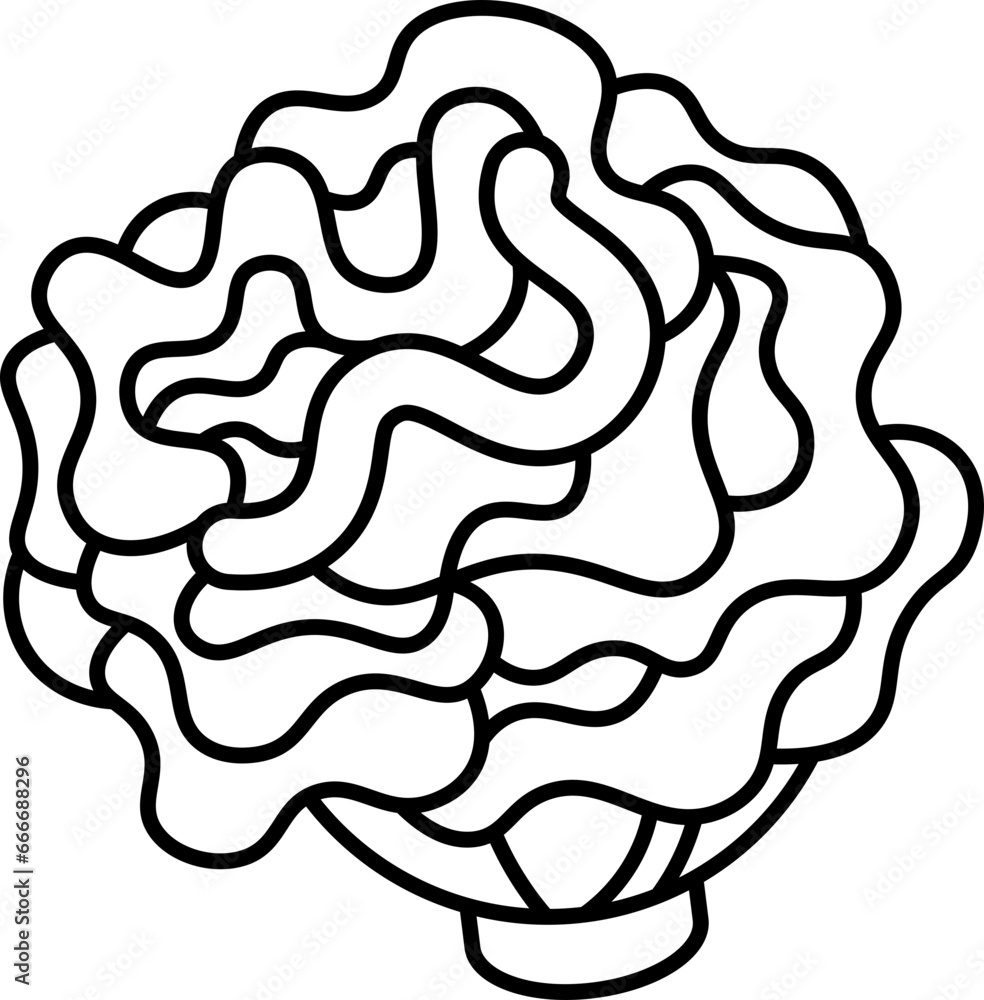 coral icon coral icon