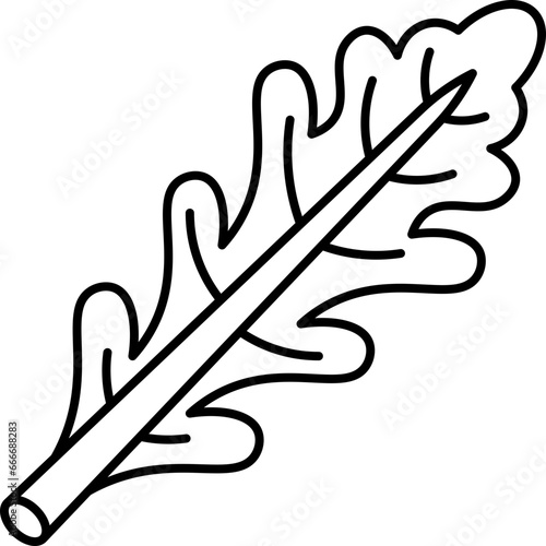 arugula  icon