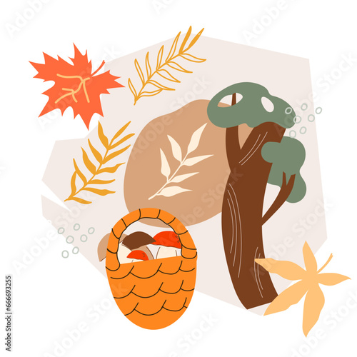 Forest mushroom hunting. Gathering delicious and nutritious fungi concept, flat vector illustration isolated on white background. Autumn forest with mushrooms.