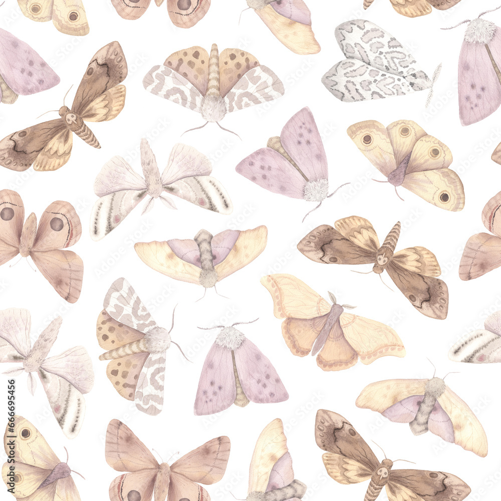 Seamless pattern with watercolor beige moth insect Seamless pattern with watercolor beige moth insect