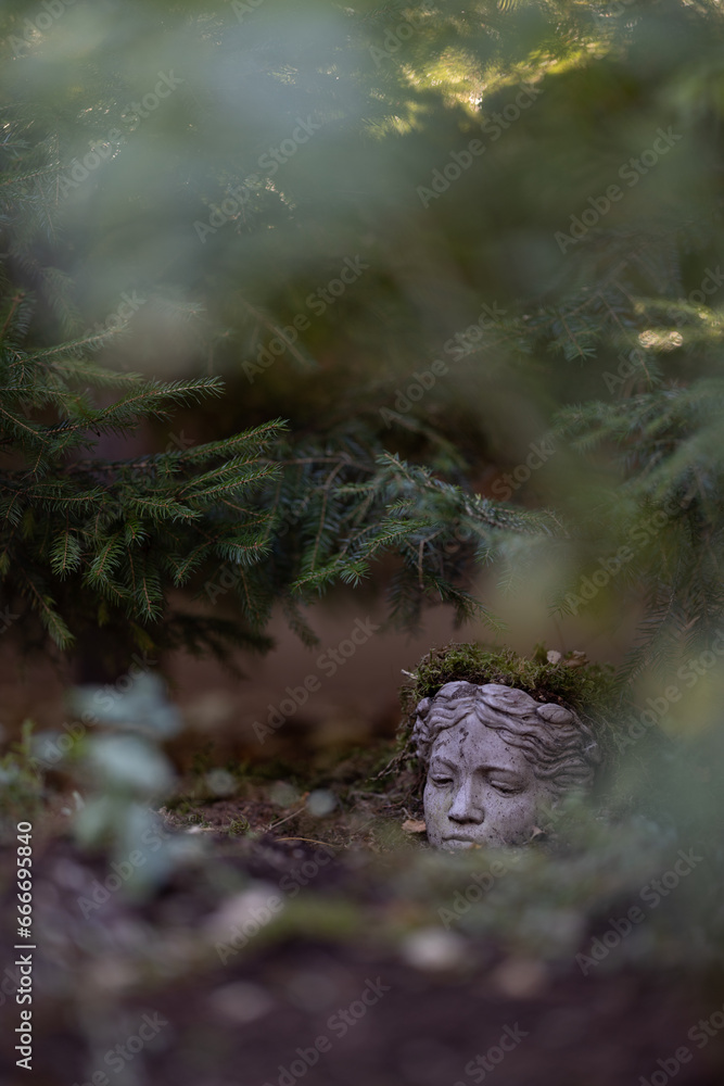Garden Garden