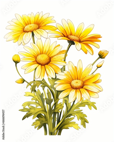 illustration bouquet yellow flowers talented holding daisy extremely shading three guilders magician sun map photo
