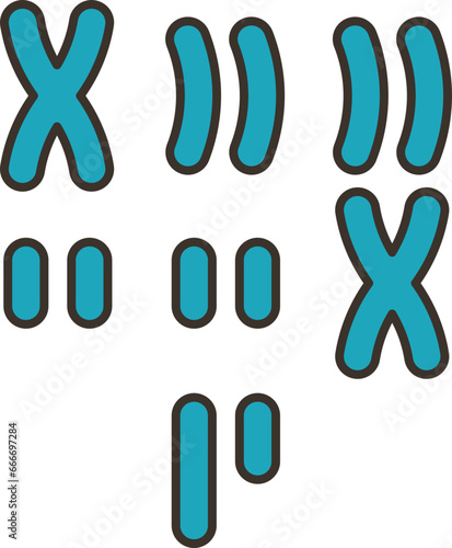 karyotype  icon