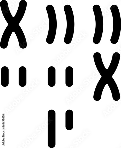 karyotype  icon