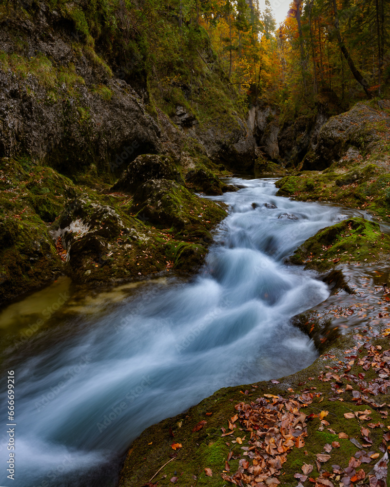river, waterfall, creek, forest, bavaria river, waterfall, creek, forest, bavaria