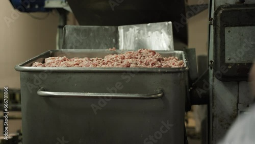Loading minced meat into the conveyor line. Production of canned meat