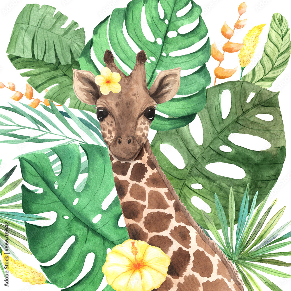 Obraz premium Watercolor tropical giraffe animal