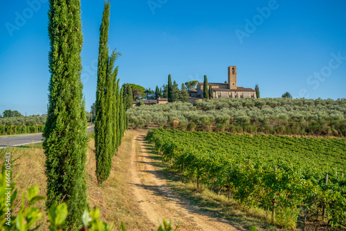 View of Convento di Monte Oliveto Minore and vinyard, San Gimignano, Province of Siena, Tuscany photo