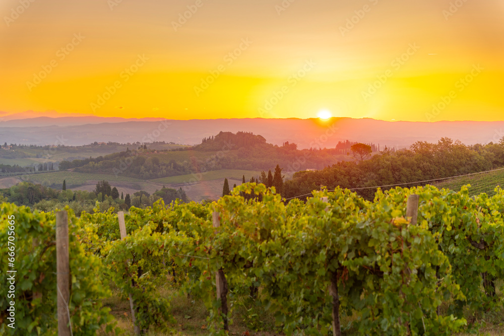 View of vineyards and landscape at sunrise near San Gimignano, San Gimignano, Province of Siena, Tuscany View of vineyards and landscape at sunrise near San Gimignano, San Gimignano, Province of Siena, Tuscany